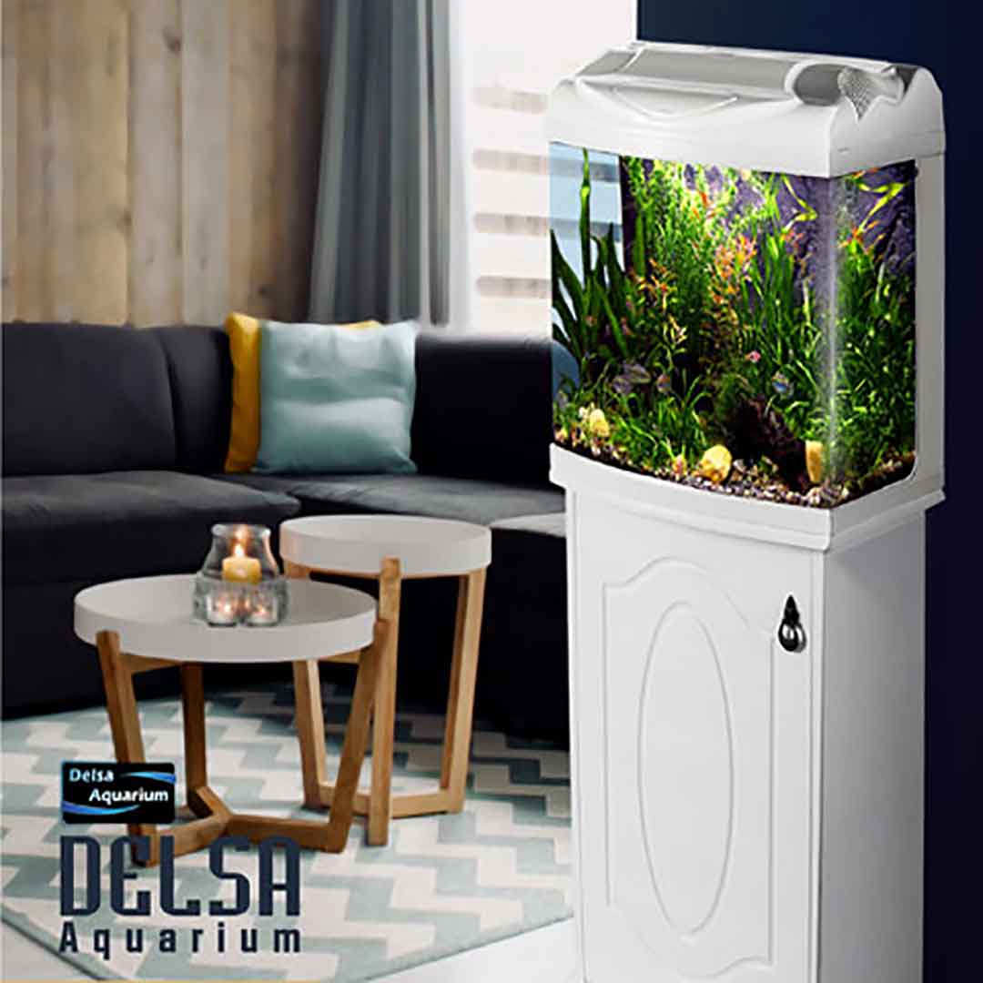 آکواریوم L470B